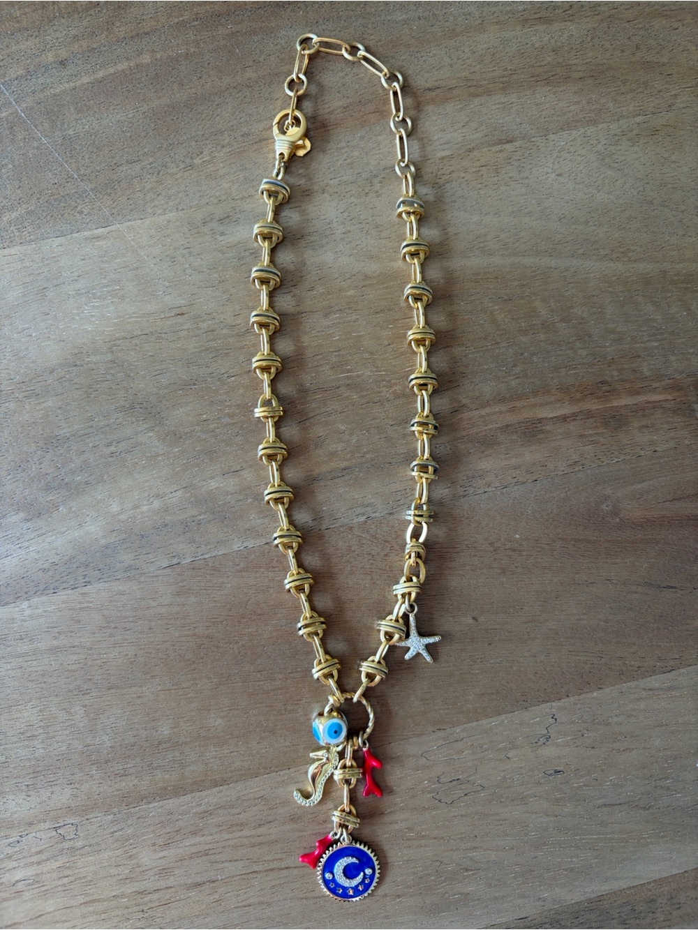 Elizabeth Cole Crescent Coastal Charm Necklace